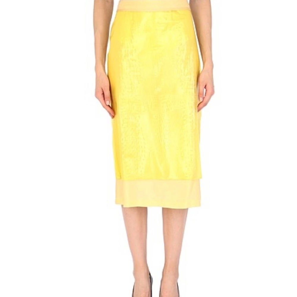 NWOT Sies Marjan skirt